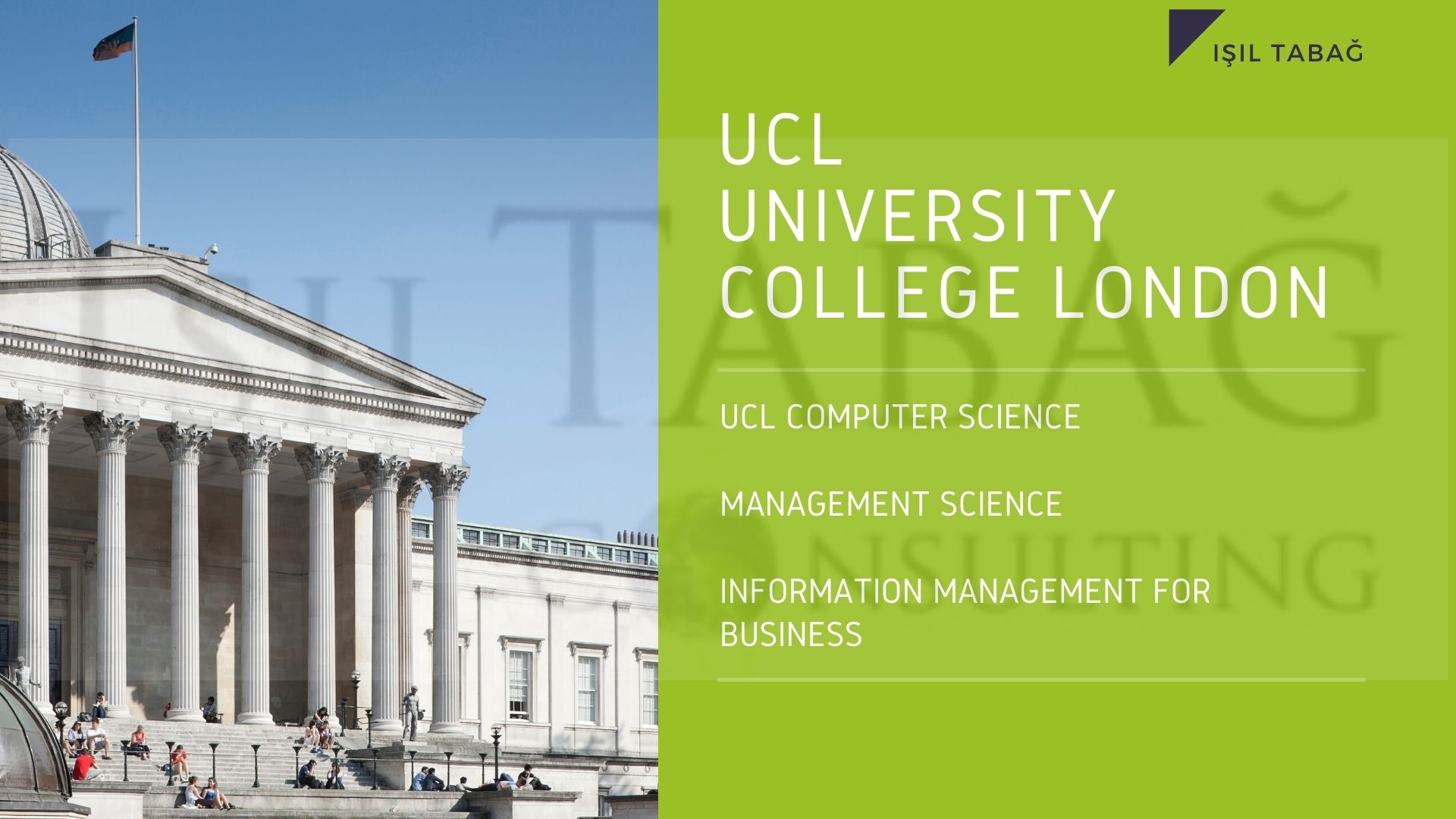 UCL Computer science  management science Information Management for Business Isil Tabag